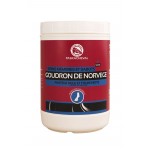 Noorse teer Paskacheval