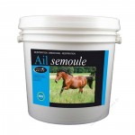 Ail semoule Horse Master