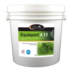 Equisport 4.13 Horse Master