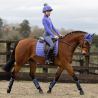 Tapis LeMieux Loire Dressage Junior - Bluebell