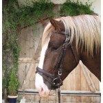 Bridon Cheval de Trait Cuir