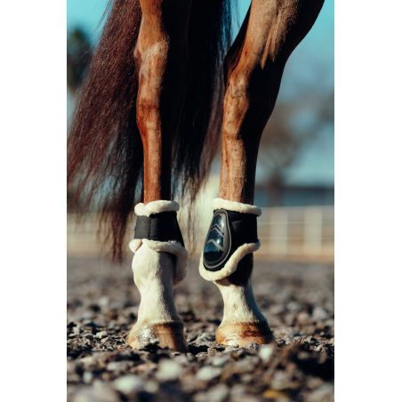 Kogelbeschermers Caliber Horze schapen