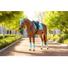 Tapis LeMieux Loire Classic Dressage Square - Azure