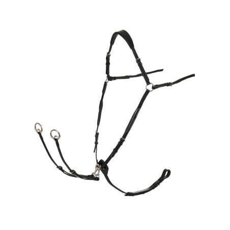 Collier de chasse LeMieux