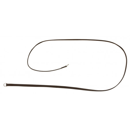 Lederen gogue-teugels Riding World