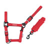 Nylon halster Pool's zwarte gespen met touw - Rood