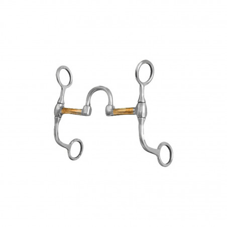 Mors correctionnel western Pool's