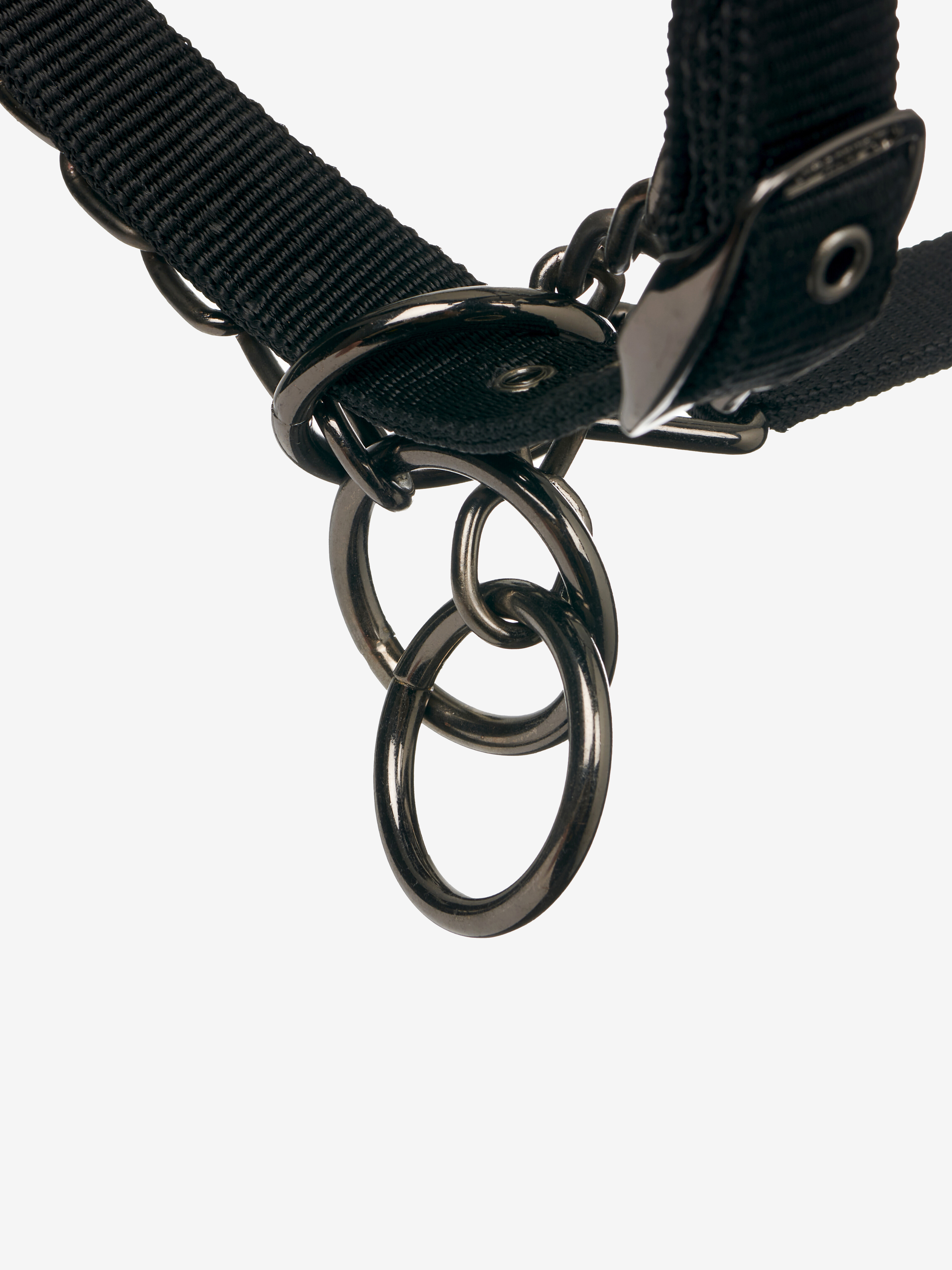 Licol LeMieux ProSafe