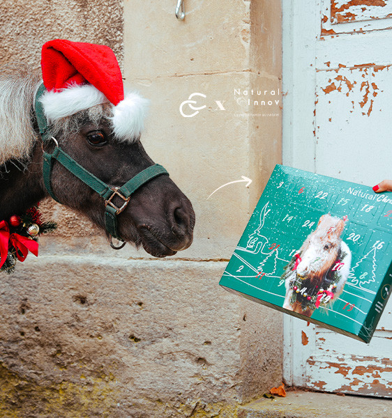 Natural'Christmas
