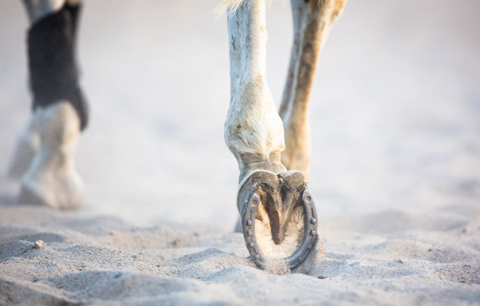 Comment soigner les fourchettes pourries ?