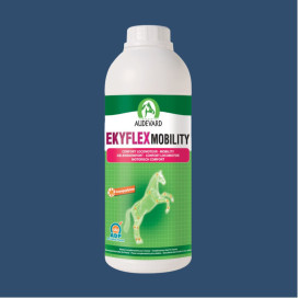 Ekyflex