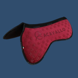 Amortisseur Acavallo