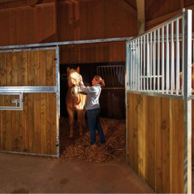 Box chevaux