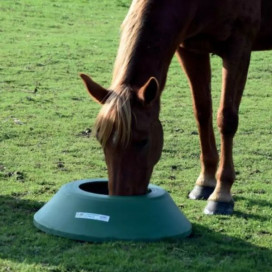 Mangeoires chevaux pré
