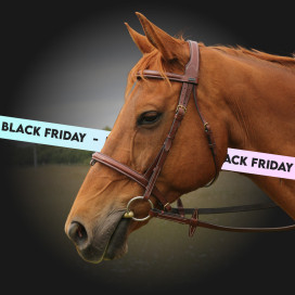 Black Friday : harnachement