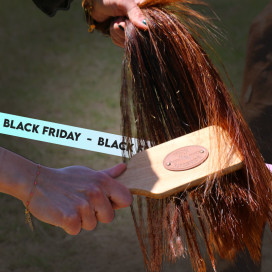 Black Friday : matériel de pansage