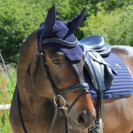 Bonnet bleu marine cheval