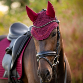 Bonnet cheval bordeaux