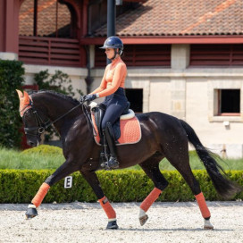 Dressage