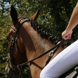 Les élastiques et pions