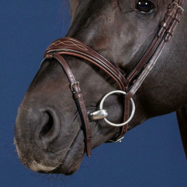Noseband cheval