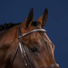 Frontal cheval