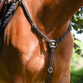 Les colliers de chasse