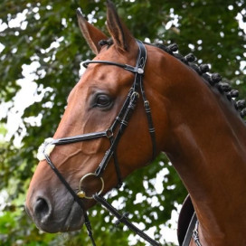 Filet muserolle croisée
