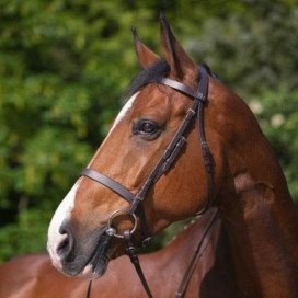 Muserolle française