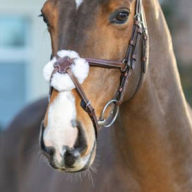 Muserolle cheval