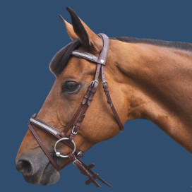 Bridon Flags and cup