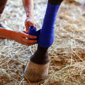 Soldes : santé, bandes