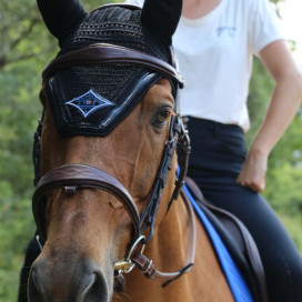 Promotions : cheval