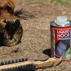 Soldes : membres & pieds