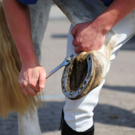 Les crampons de cross