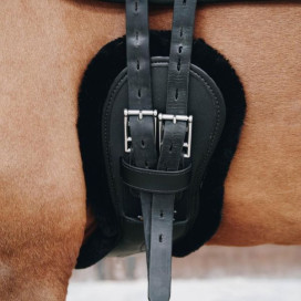 Sangle anatomique cheval