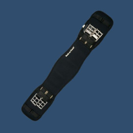 Sangle Back On Track