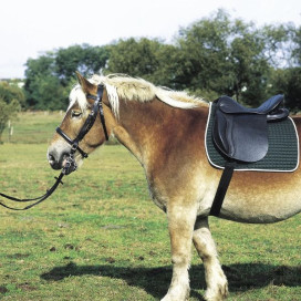 Selle cheval de trait