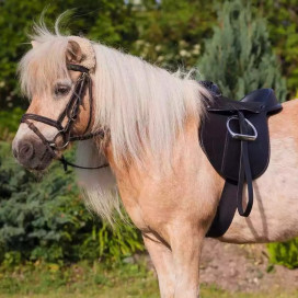 Selle poney