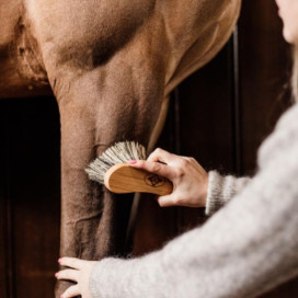 Brosse dure cheval