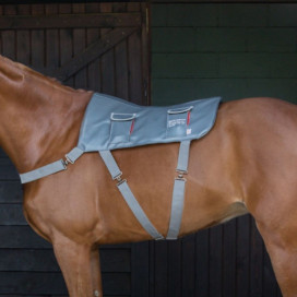 Tapis de massage cheval