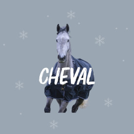 Soldes équitation : cheval