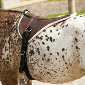 Tapis de monte à cru