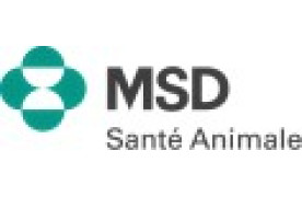 M.S.D