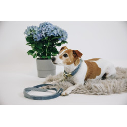 Hondenhalsband Velvet Kentucky Lichtblauw