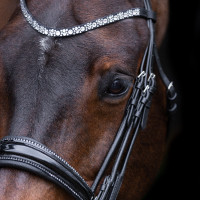 Brida Imperial Riding Olympia Zwart / zilver Brida Imperial Riding Olympia Zwart / zilver