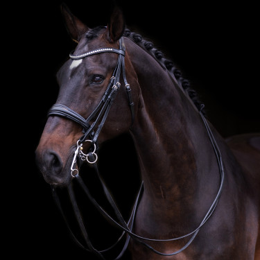 Bruideg Imperiaal Riding Fria Zwart Bruideg Imperiaal Riding Fria Zwart