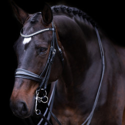 Bruideg Imperiaal Riding Fria Zwart