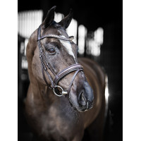 Bridon de dressage LeMieux Arika Noir / argent Bridon de dressage LeMieux Arika Noir / argent