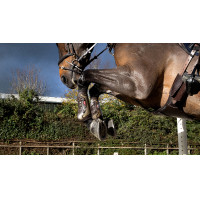 Exo-Flex® LeMieux Peesbeschermers Bruin